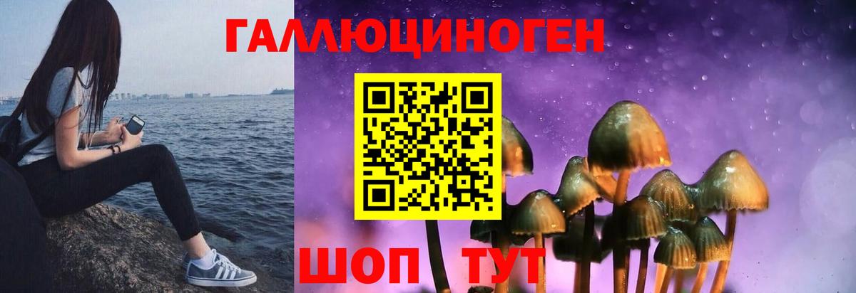 Псилоцибиновые грибы прущие грибы Сегежа