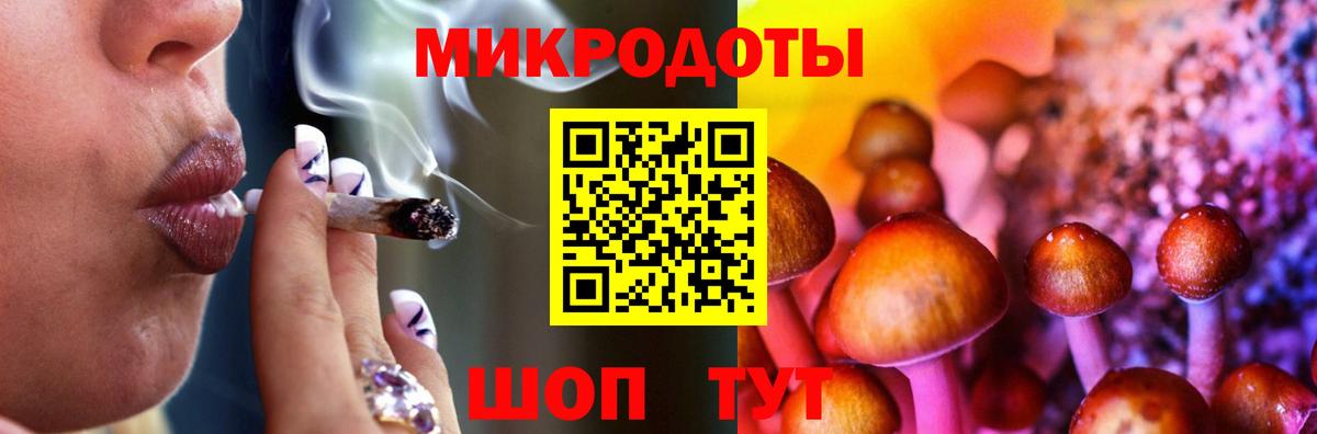 Сегежа  Галлюциногенные грибы Psilocybe  Вход с VPN 